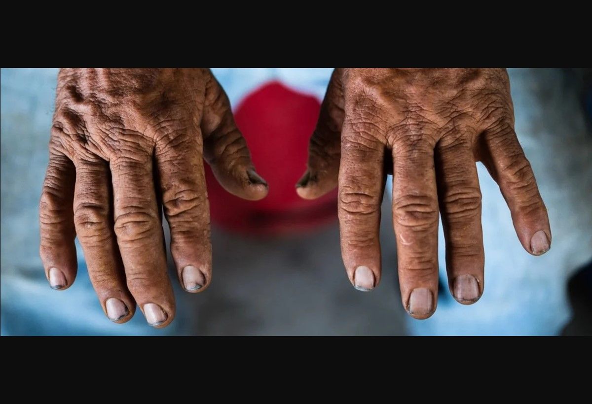 Temporada de Cosecha- Cinema Tropical.