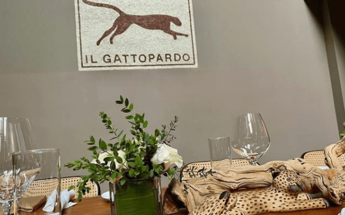 Il Gato Pardo Il Gato Pardo